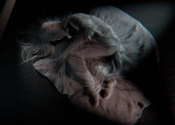 media molecule made a music video for noah cyrus entirely in dreams