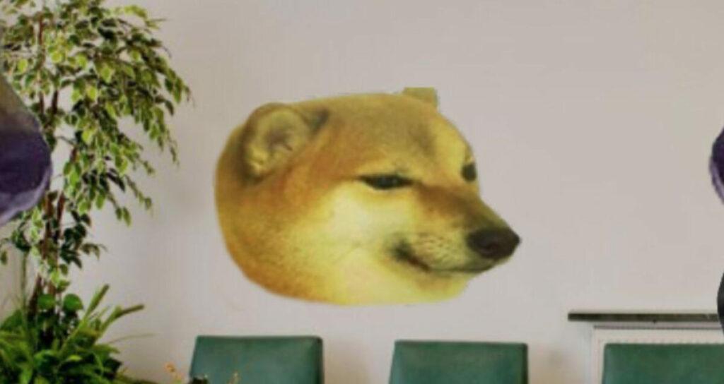 Anjing Shiba Inu di Balik Meme "Cheems"